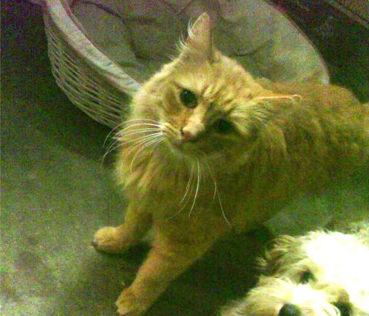 体育总局出台新规保护青训，国家对青少年体育