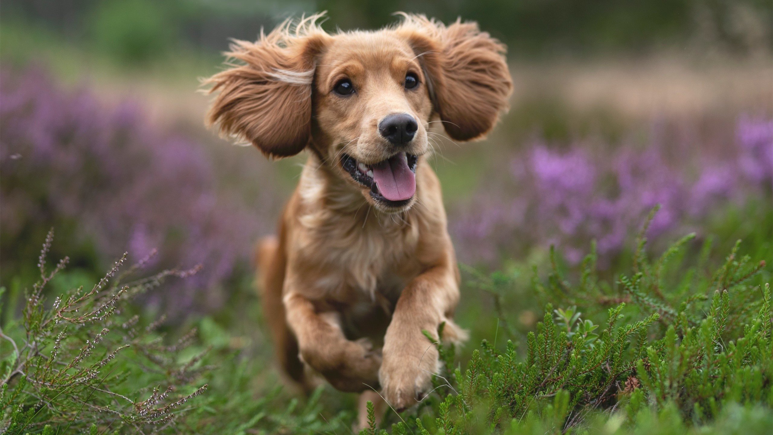 体育赛事品牌推广新模式，体育赛事品牌打造